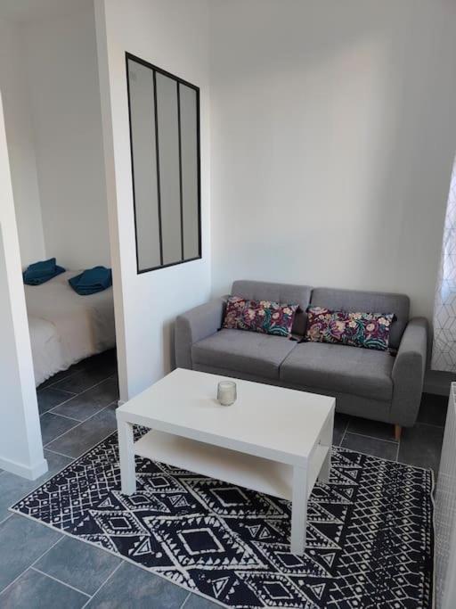 Charmant Appartement Hyper Centre Metro Gare Toulouse Exterior foto